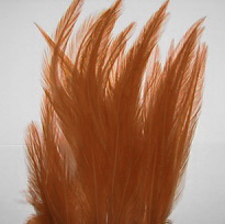 rooster saddle brown  